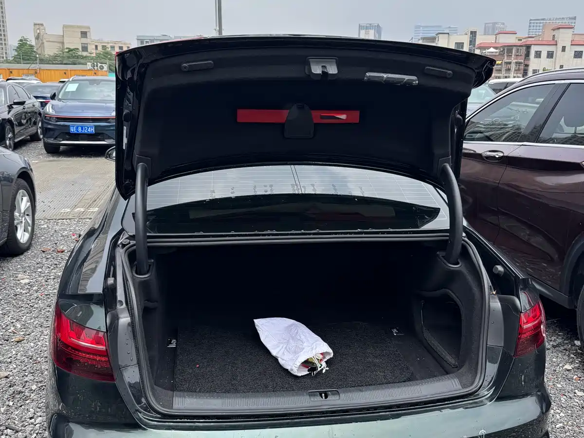 Audi A4L 2020 40 TFSI Luxury Dynamic фото 23