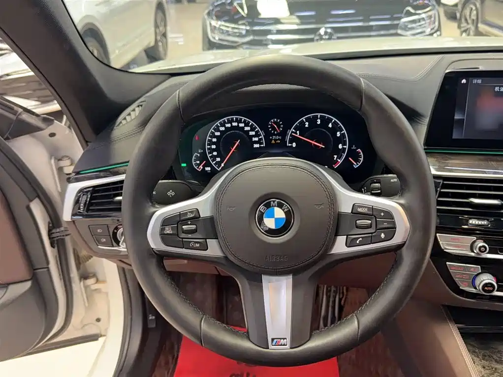 BMW 5 Series 2019 525Li M Sport Package фото 19