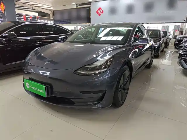 TESLA MODEL 3 2020