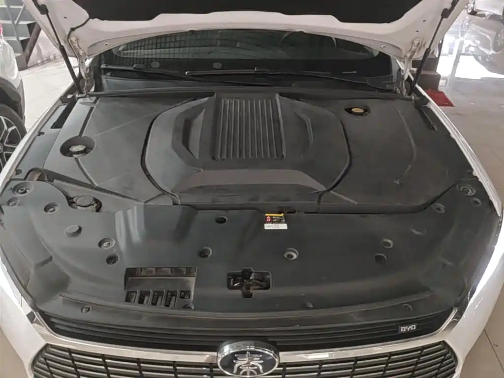 BYD QINHUANGDAO NEW ENERGY