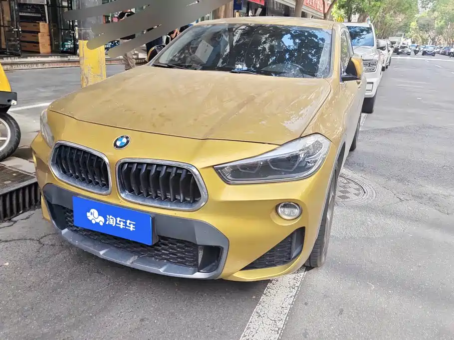 BMW X2 (Import) 2019 sDrive20i M Off-Road Package China VI