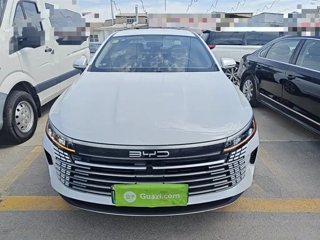 BYD Destroyer 05 2024 Glory Edition DM-i 55KM Luxury фото 3