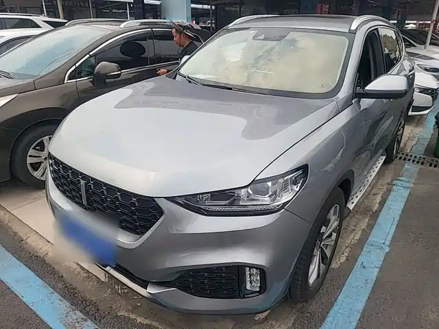  WEY Wey VV6 2018 2.0T 2WD Flagship China V