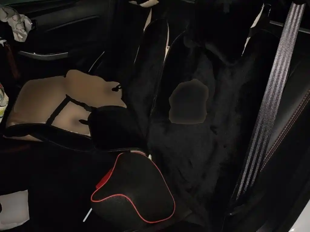 Venucia T70 2018 2018 2.0L CVT RuiXiang Edition