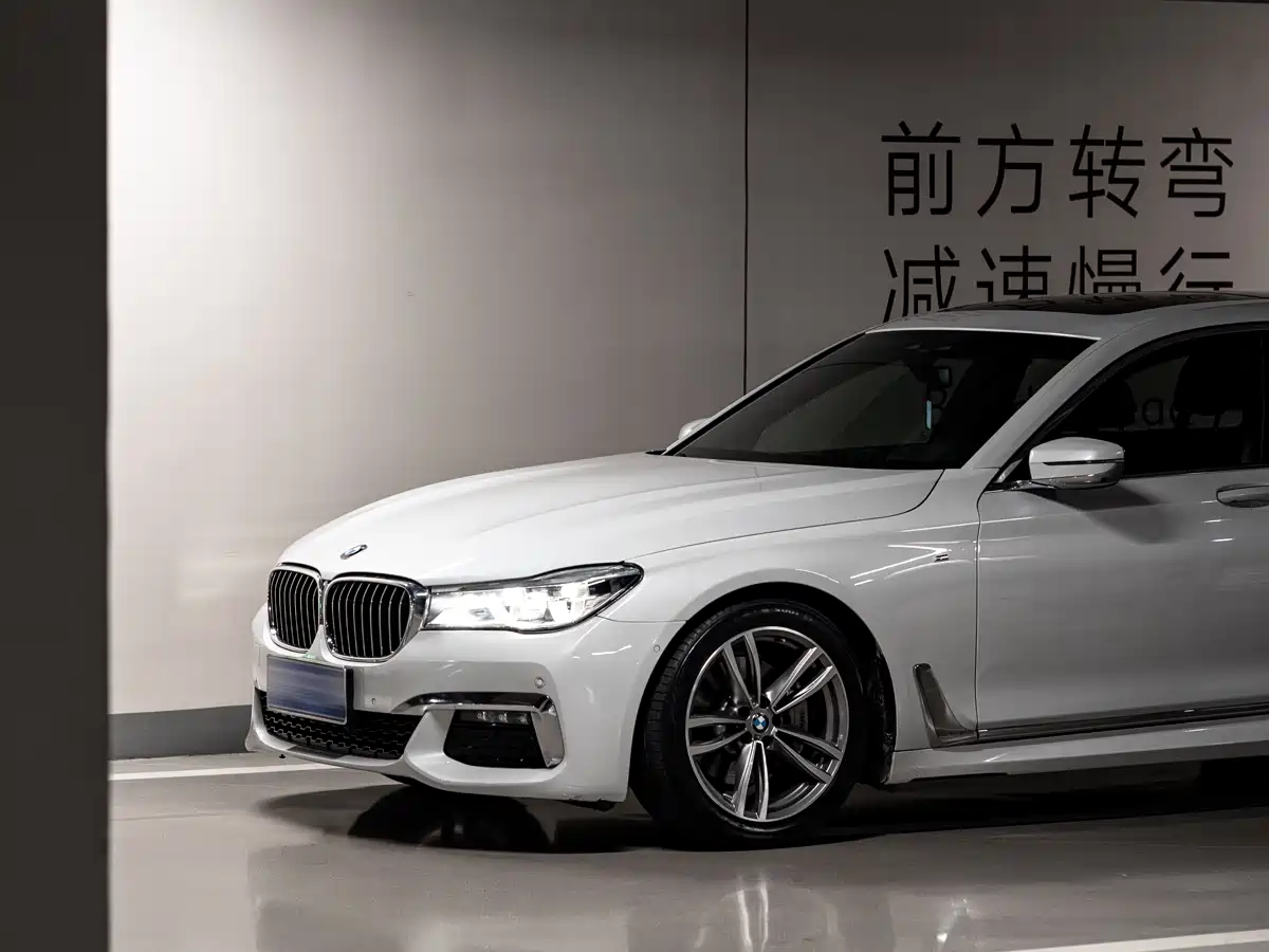 BMW 7 Series 2018 730Li Leading Type M Sport Package фото 5