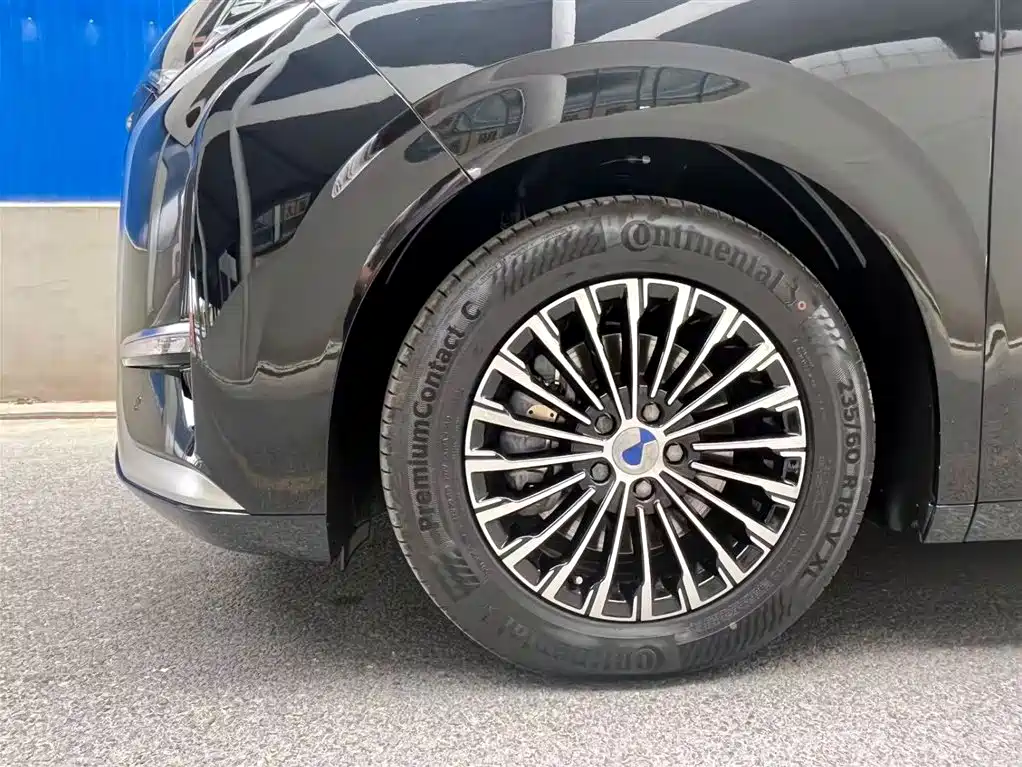 Denza D9 2024 DM-i 980 AWD Premium фото 6