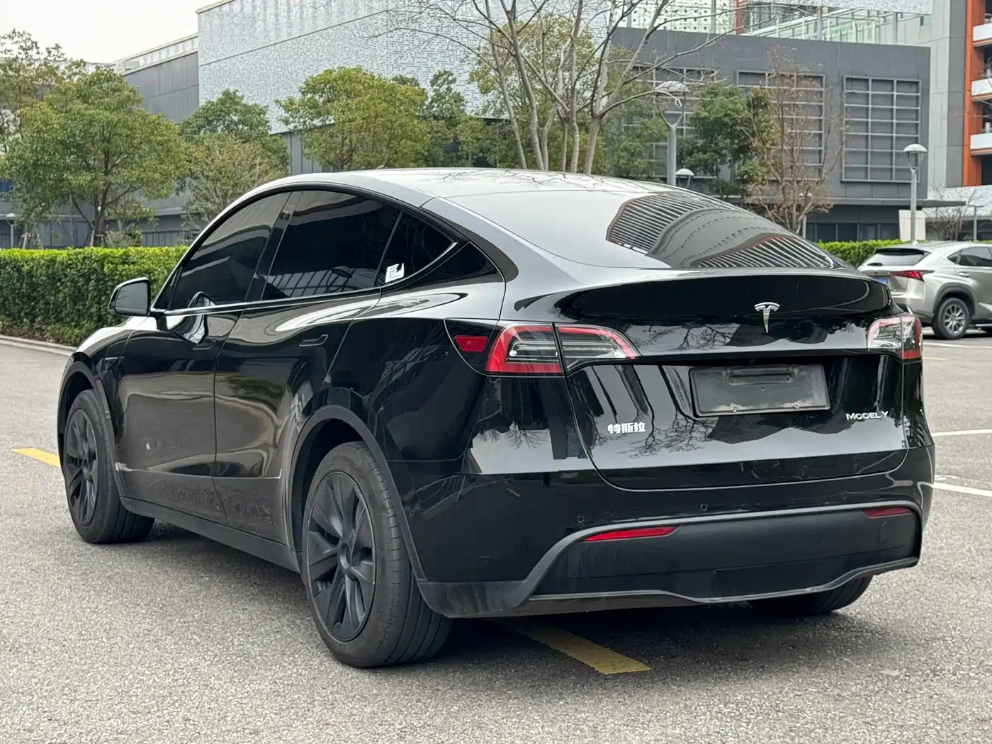 Tesla Model Y 2023 Rear-Wheel Drive Edition фото 18