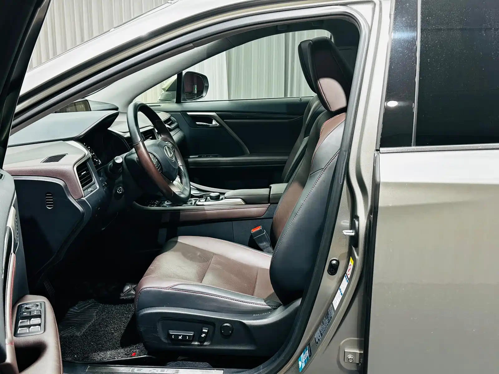 Фото 13 - Lexus RX