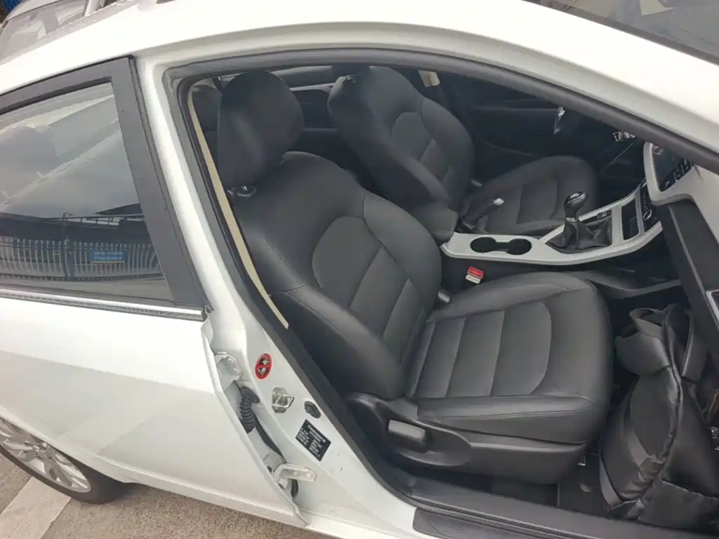 Фото 25 - Geely Vision