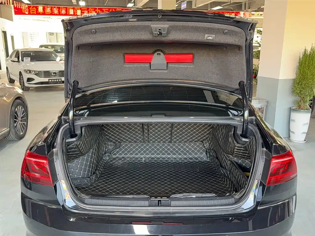 Volkswagen Magotan 2020 280TSI DSG Comfort фото 13