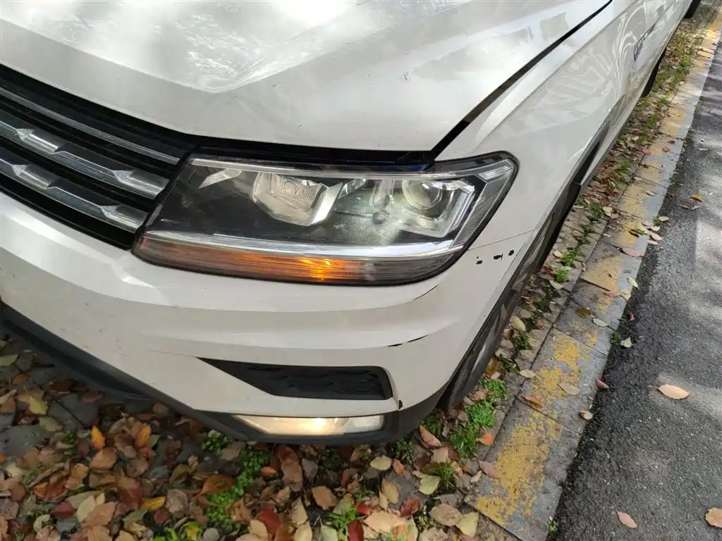 Volkswagen Tiguan L 2017 330TSI Automatic 2WD Trend Edition фото 18
