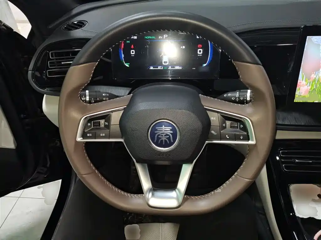 BYD Qin PLUS 2023 Champion Edition DM-i 55KM Leading фото 7
