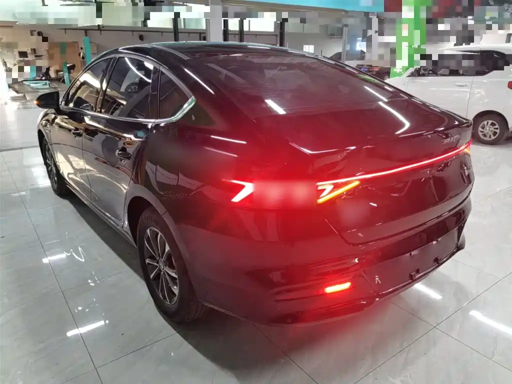 BYD Qin PLUS 2023 Champion Edition DM-i 55KM Leading фото 23