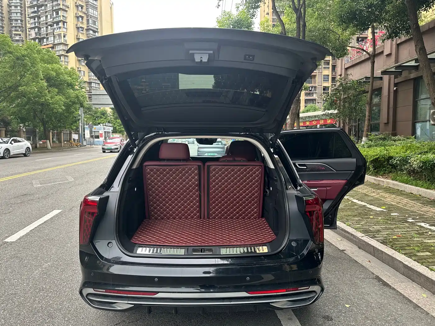 Hongqi E-HS9 2021 460km Flagship Comfort 6-seater фото 11