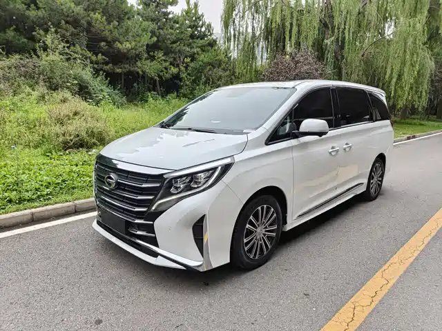 GAC Trumpchi M8 2021 Leading Show Series 390T Prestige Edition