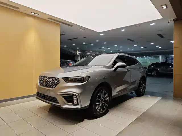 WEI PAI WEI BRAND VV5