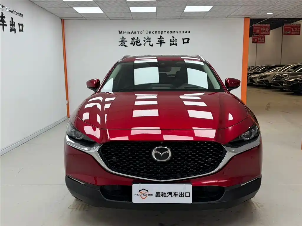  CX 30