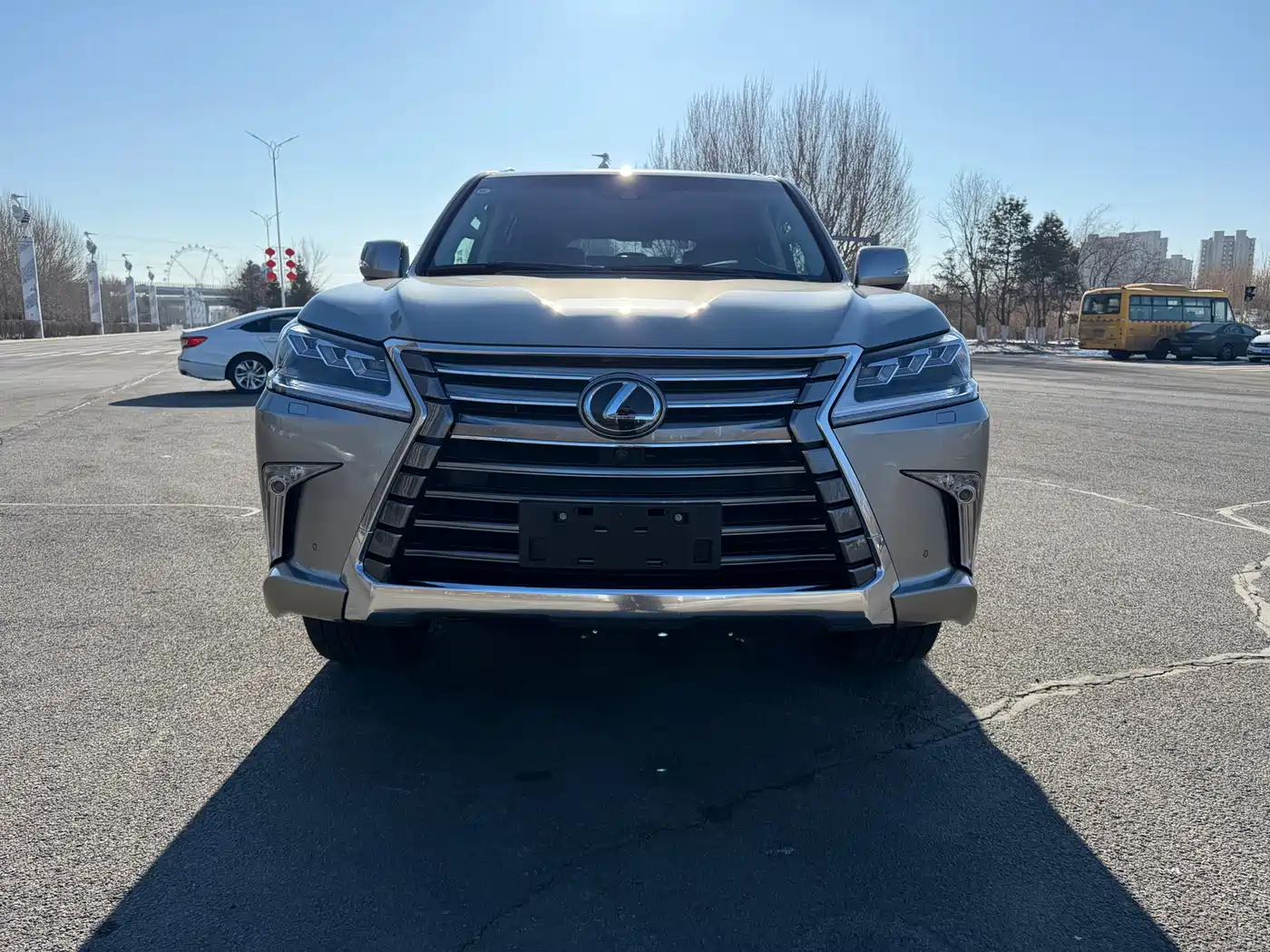Lexus LX 2016 570 Luxury Premium Edition фото 2