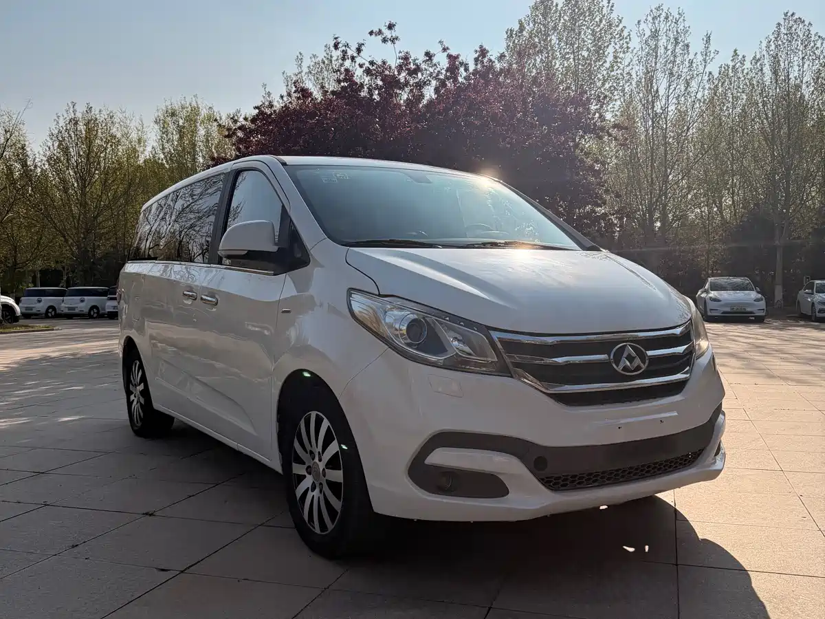 SAIC Maxus Maxus G10 2014 2.0T Automatic Luxury Executive Edition фото 8