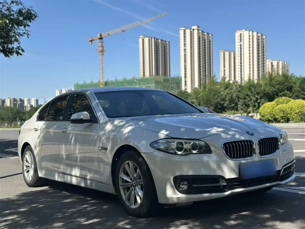 BMW 5 Series 2014 520Li Elegance фото 25