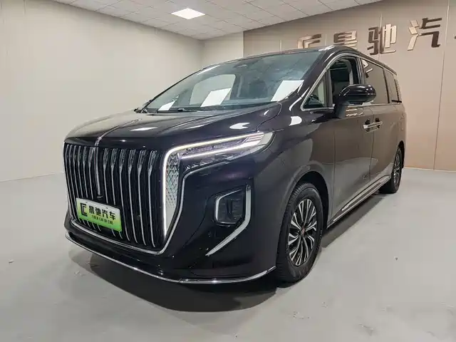 Hongqi HQ9 2.0T, Люкс