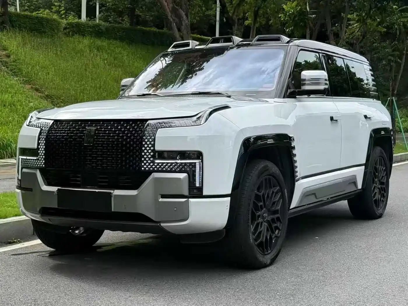 Yangwang U8 2024 2023 Luxury Edition