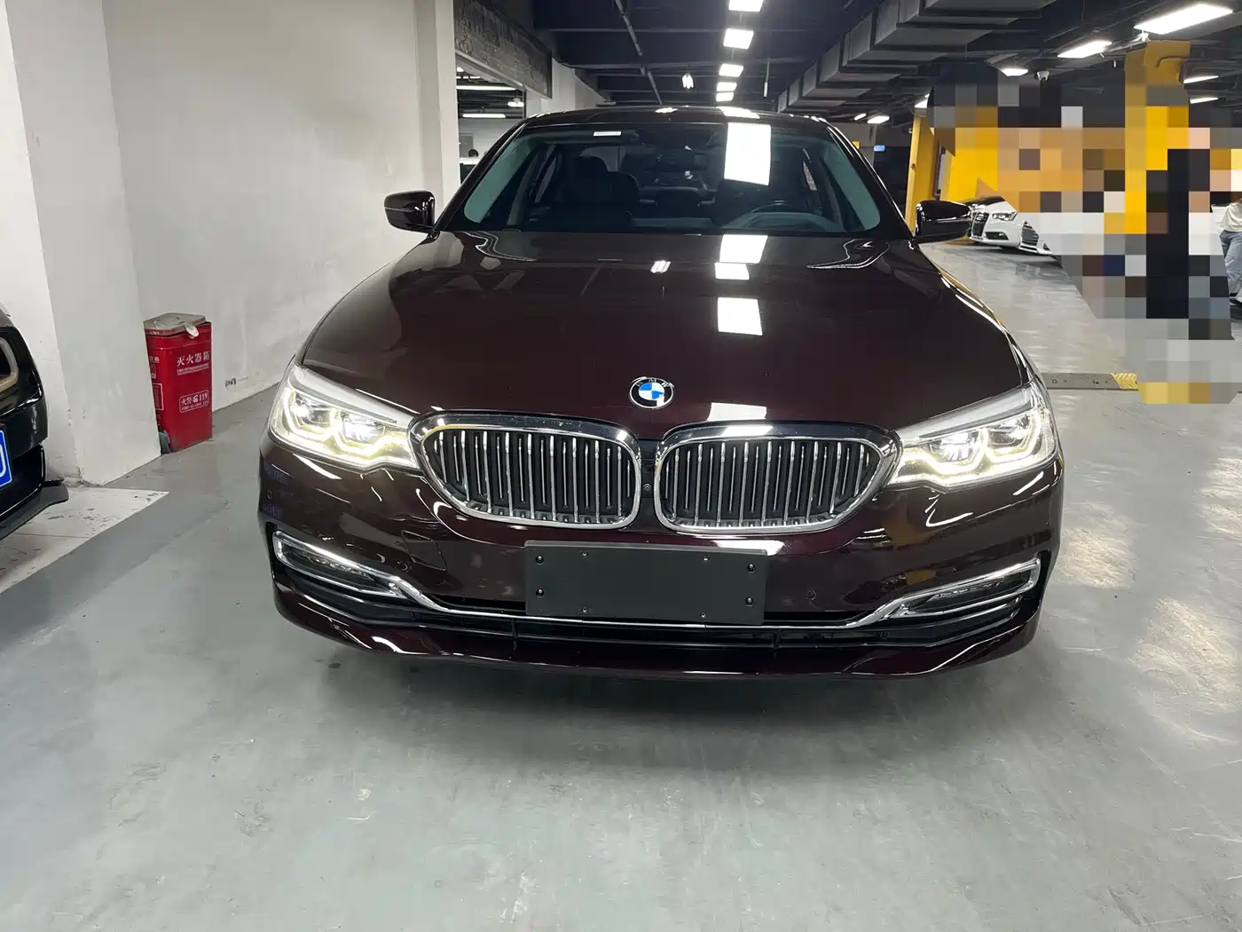 BMW 5 Series 2018 530Li Exclusive Luxury Package фото 2