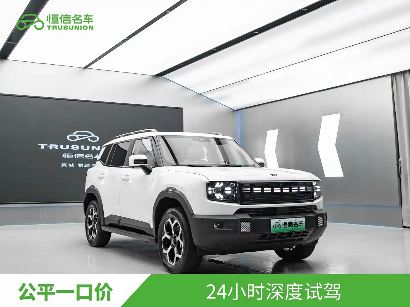 Jetour Shanhai T1 2025 2025 150km Ocean Edition