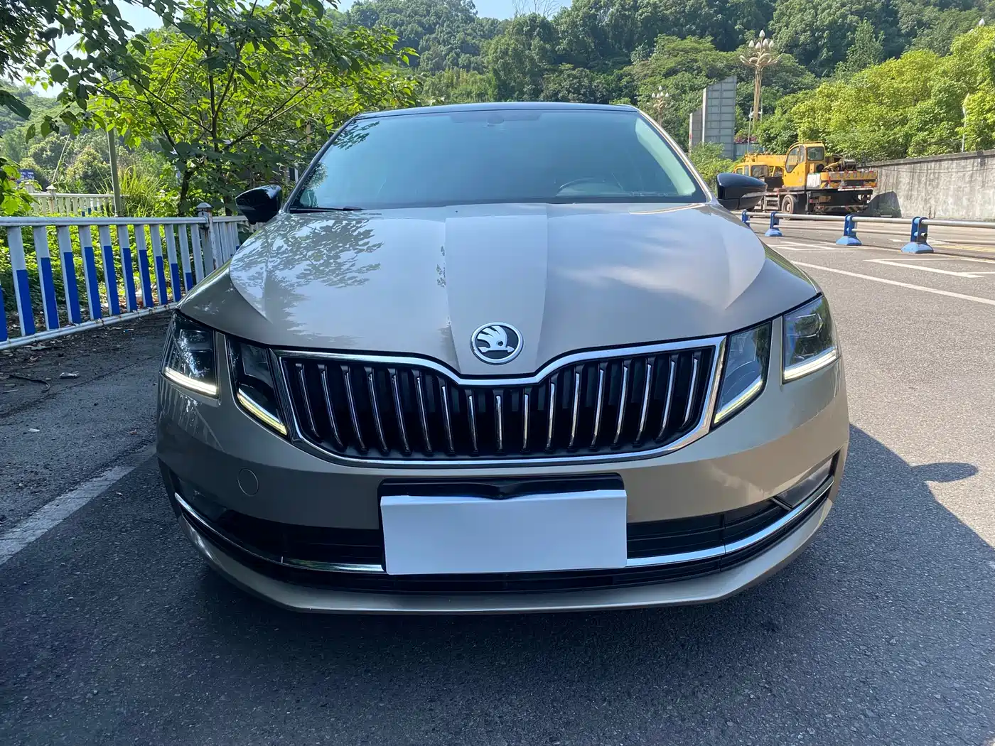 Škoda Octavia 2018 TSI280 DSG Luxury Edition фото 2