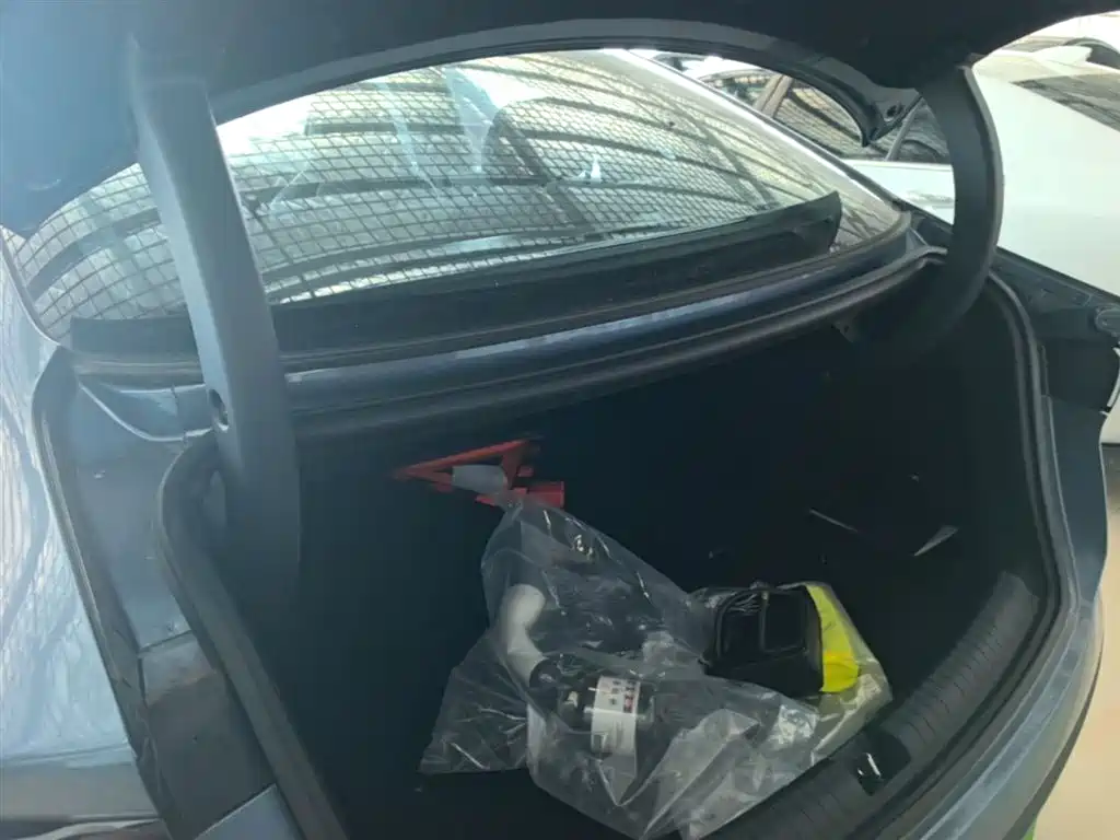 BYD Seal 06 New Energy 2024 DM-i 80KM Prestige фото 19