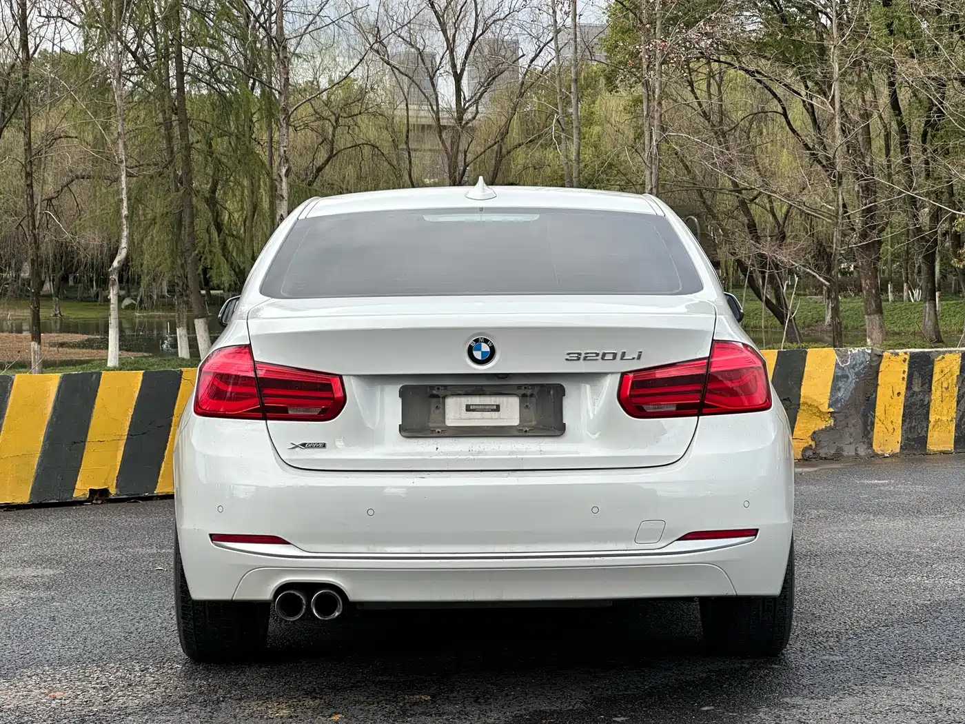 BMW 3 Series 2018 320Li Fashion Style фото 5