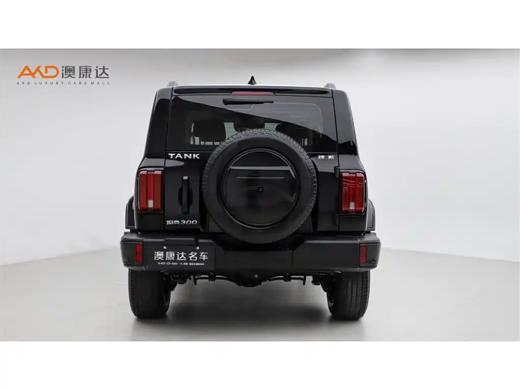 Tank 300 2021 Urban Edition 2.0T Stylish фото 4