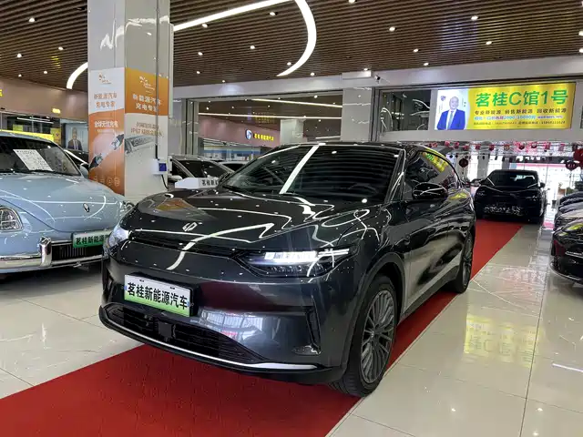 Leapmotor C11 2023 Pure Electric 500 Comfort Edition