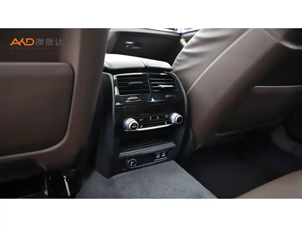 BMW 5 Series 2020 530Li Premium Luxury Package фото 9
