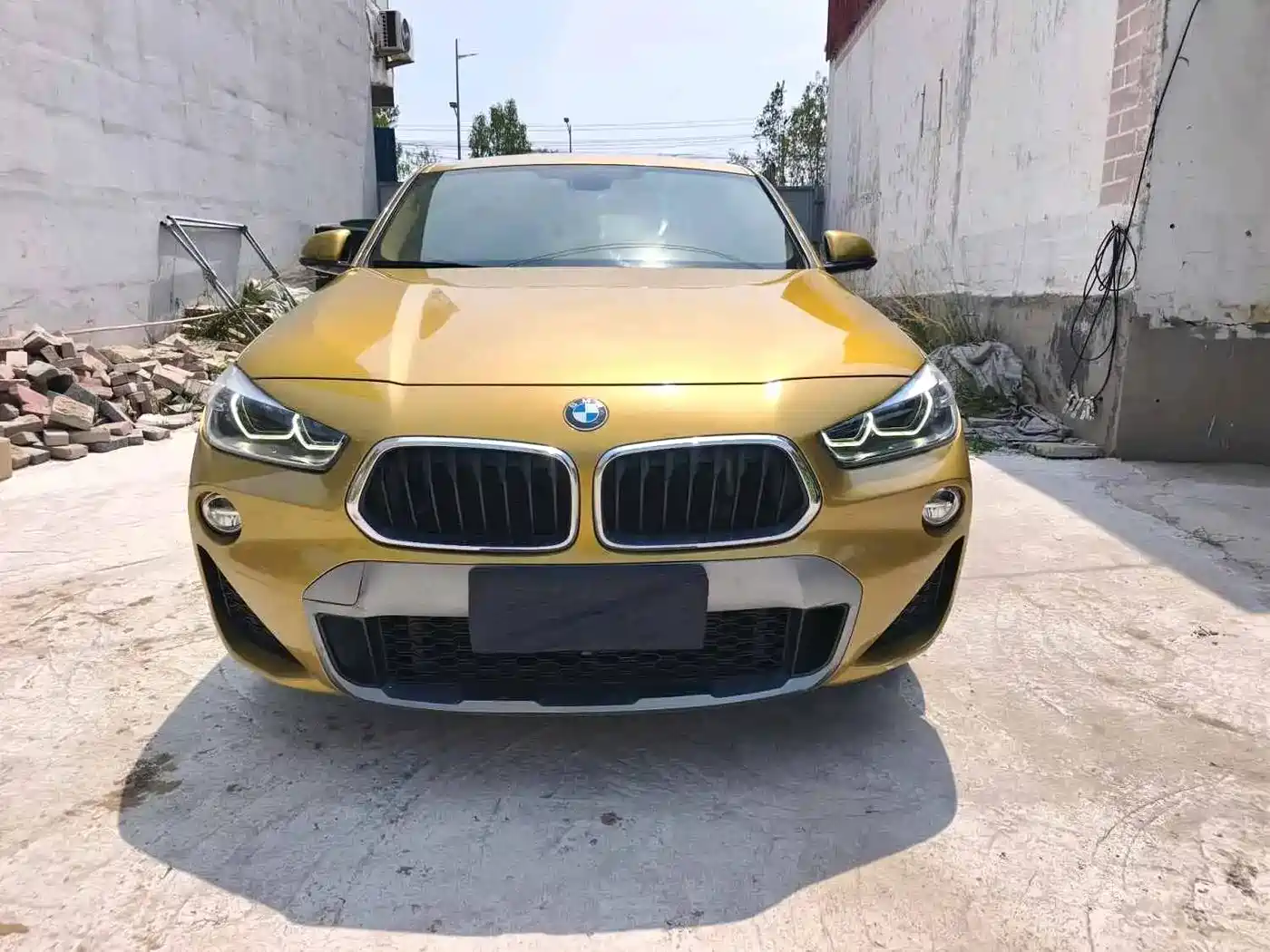 BMW X2 (Import) 2019 2019 sDrive25i Leading M Off-Road Package China VI