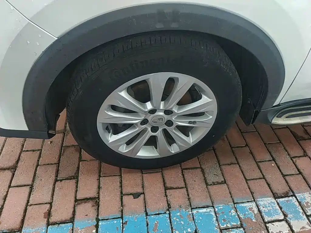 Фото 23 - Roewe RX5