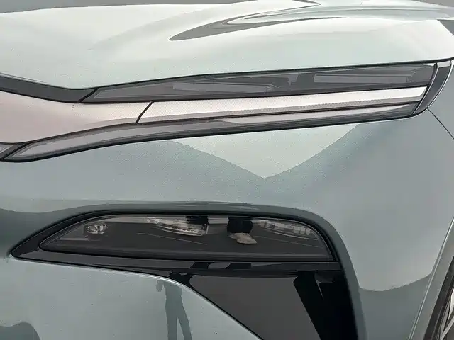 صورة 14 - BYD Tang L