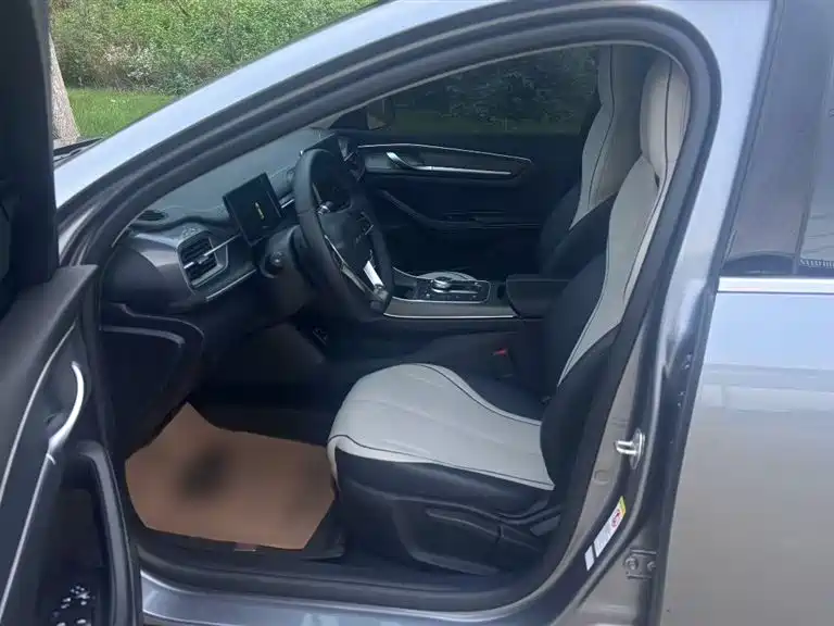 BYD Destroyer 05 2024 Glory Edition DM-i 55KM Luxury фото 11