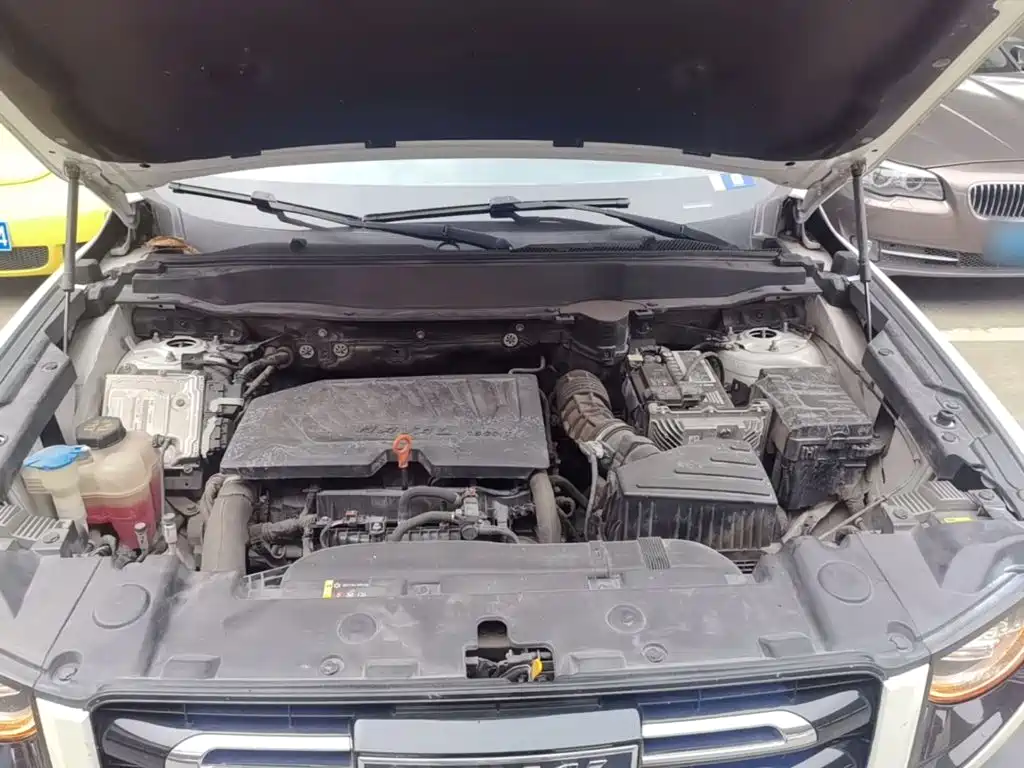 Haval Dargo 2020 2021 1.5T DCT 2WD Border Collie Edition