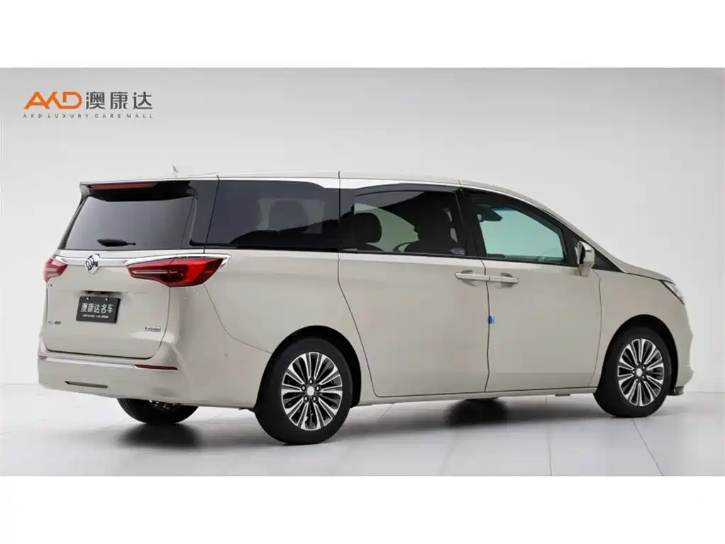 Buick GL8 2022 ES Landmark 653T Luxury фото 3