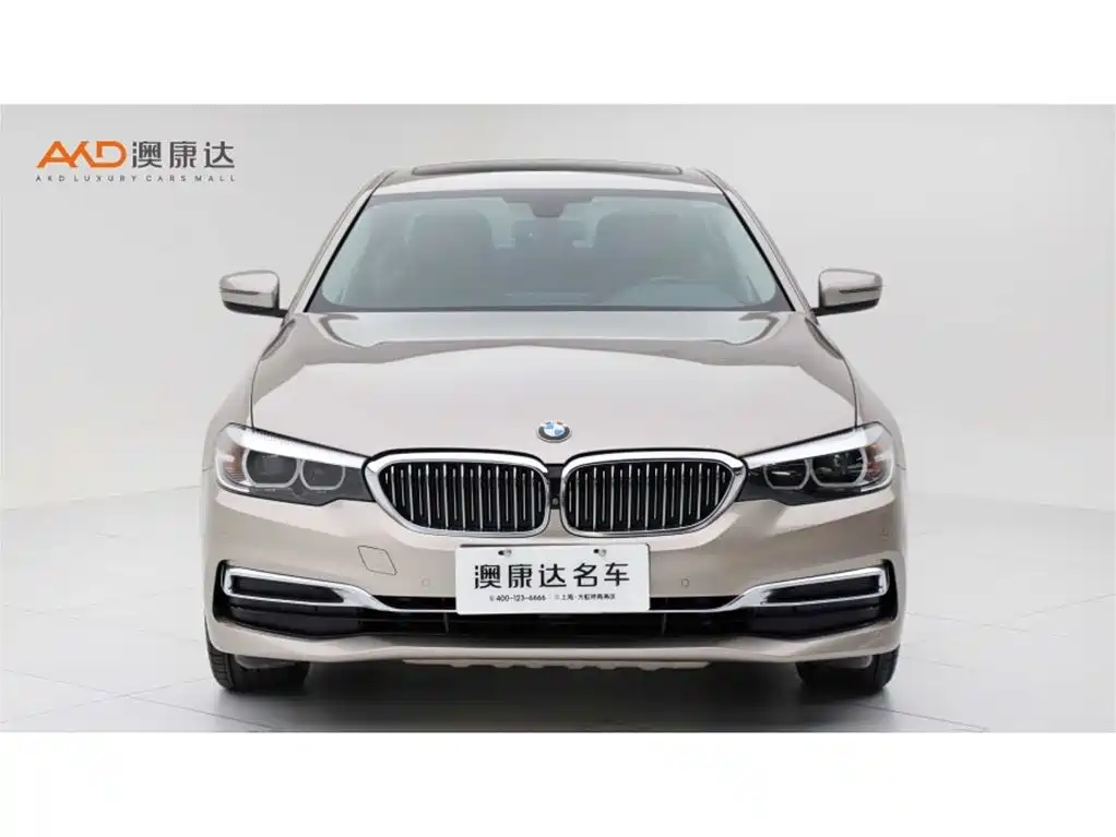 BMW 5 Series 2019 Facelift 530Li Leading Luxury Package фото 2