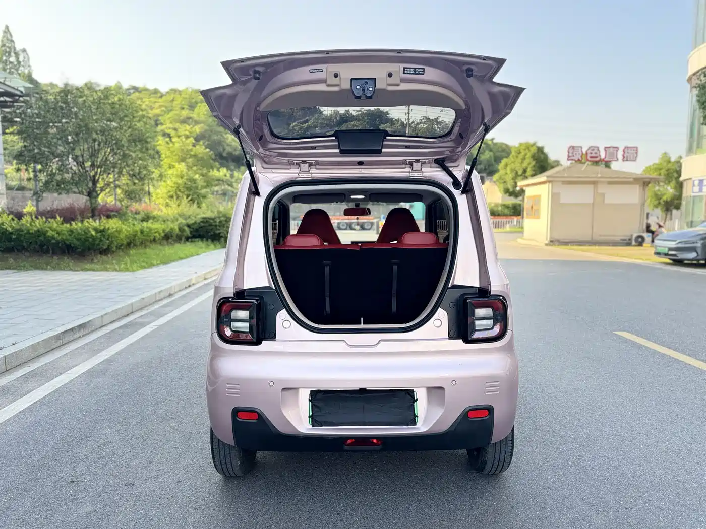 Geely Galaxy Panda 2023 Panda Mini 200km Endurance Bear фото 10