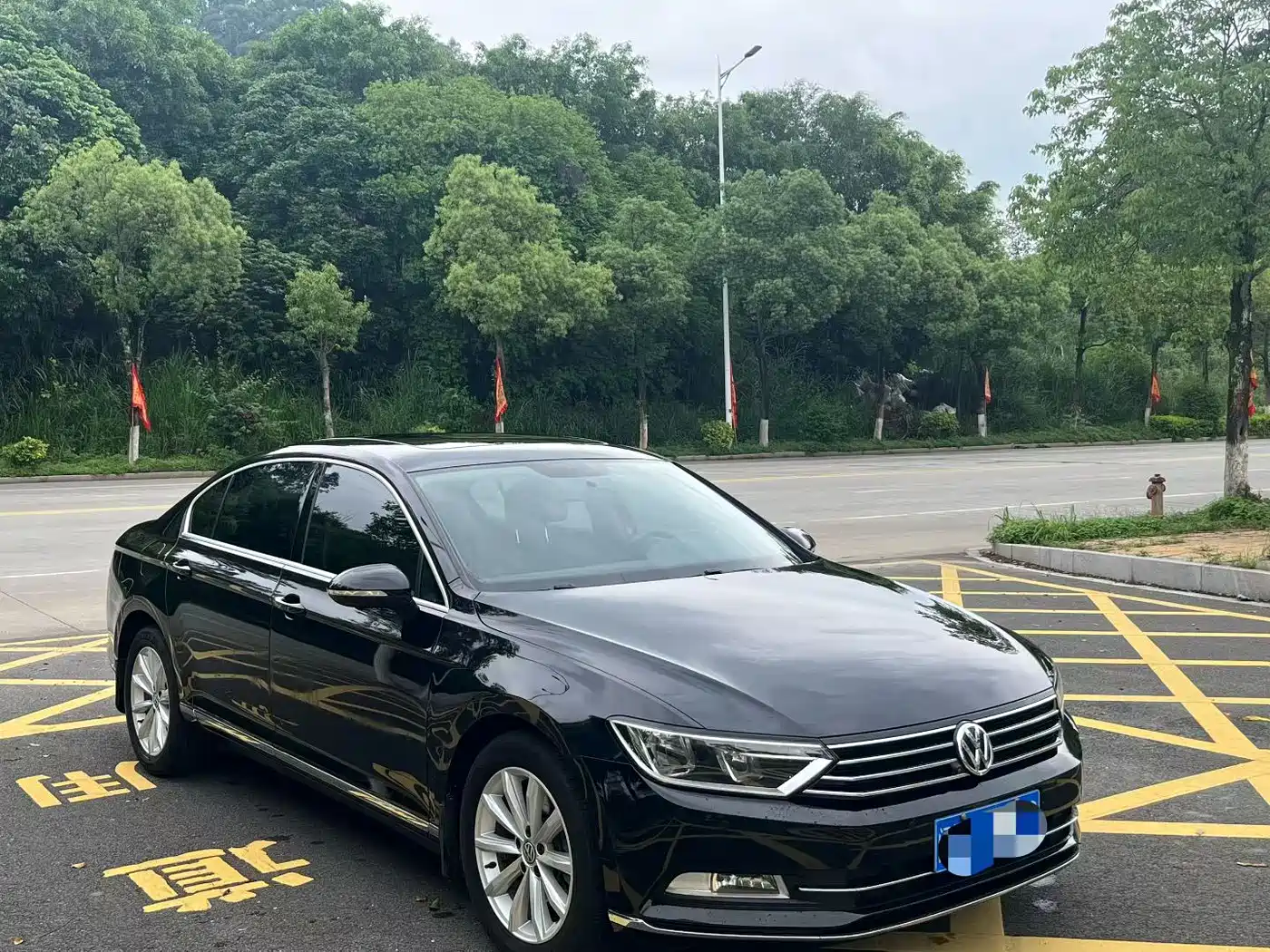 Volkswagen Magotan 2019 280TSI DSG Leading China VI фото 3