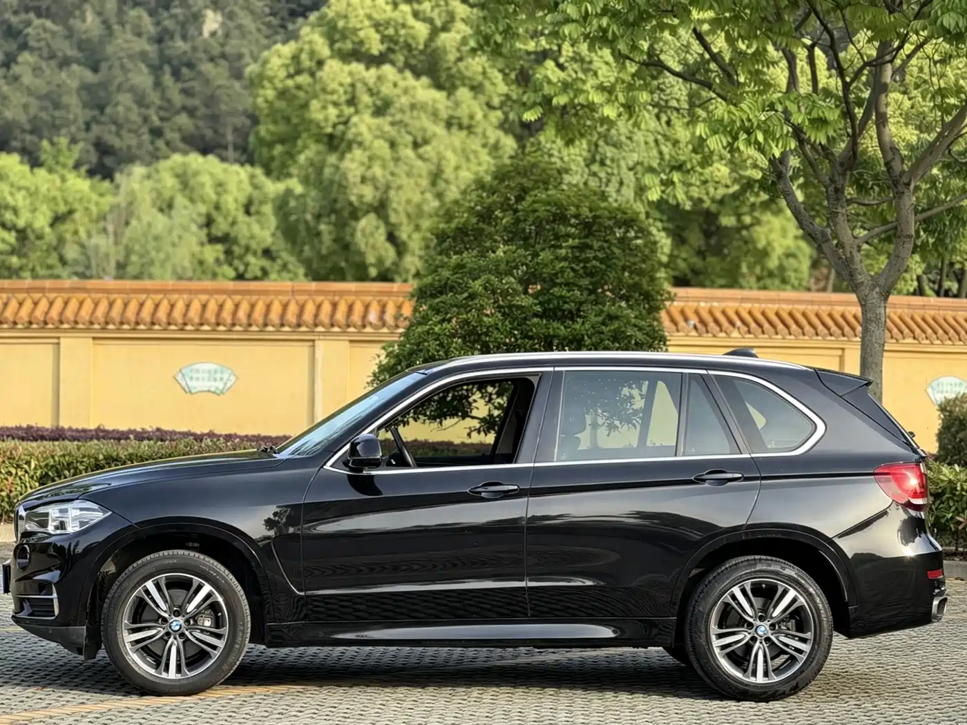 BMW X5 (Import) 2017 xDrive35i Elegance фото 3