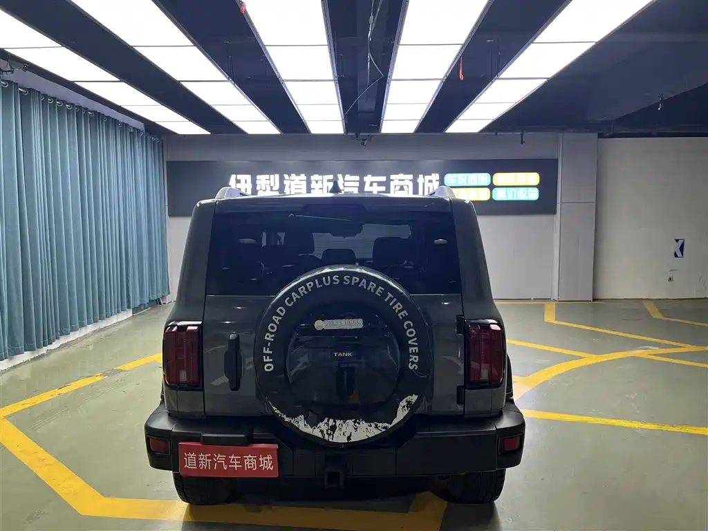 Tank 300 2023 Off-Road Edition 2.0T Conqueror фото 8