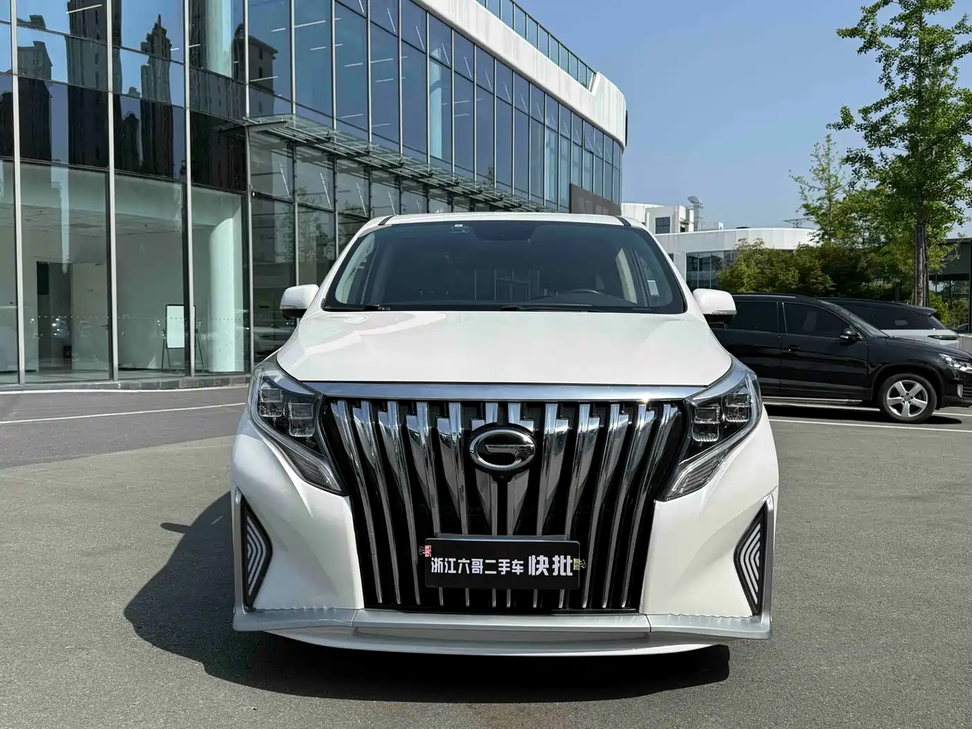 GAC Trumpchi Trumpchi M8 2019 320T Ultimate Edition фото 2