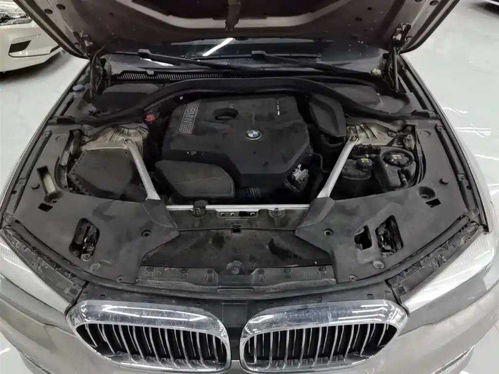 BMW 5 Series 2018 Facelift 530Li Leading Luxury Package фото 20