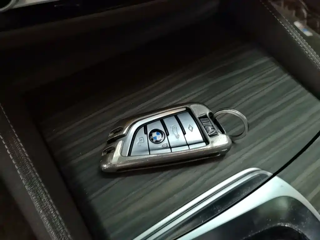 BMW 5 Series 2018 Facelift 530Li Leading Luxury Package фото 9
