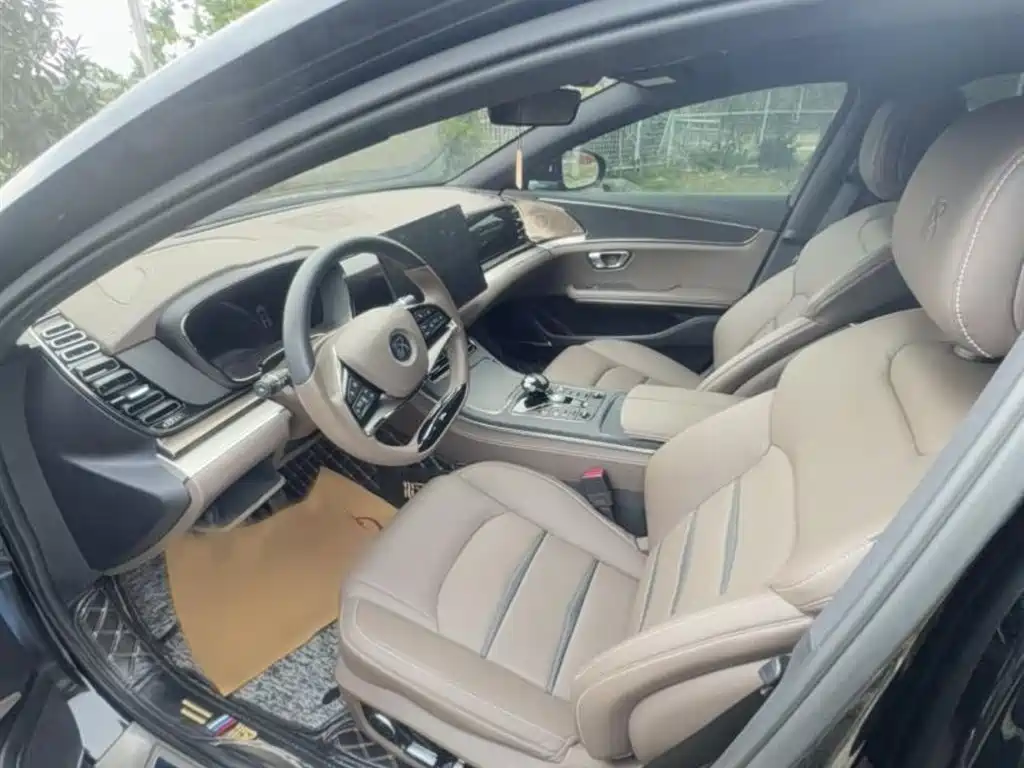 BYD Han 2020 EV Extended Range Luxury фото 10