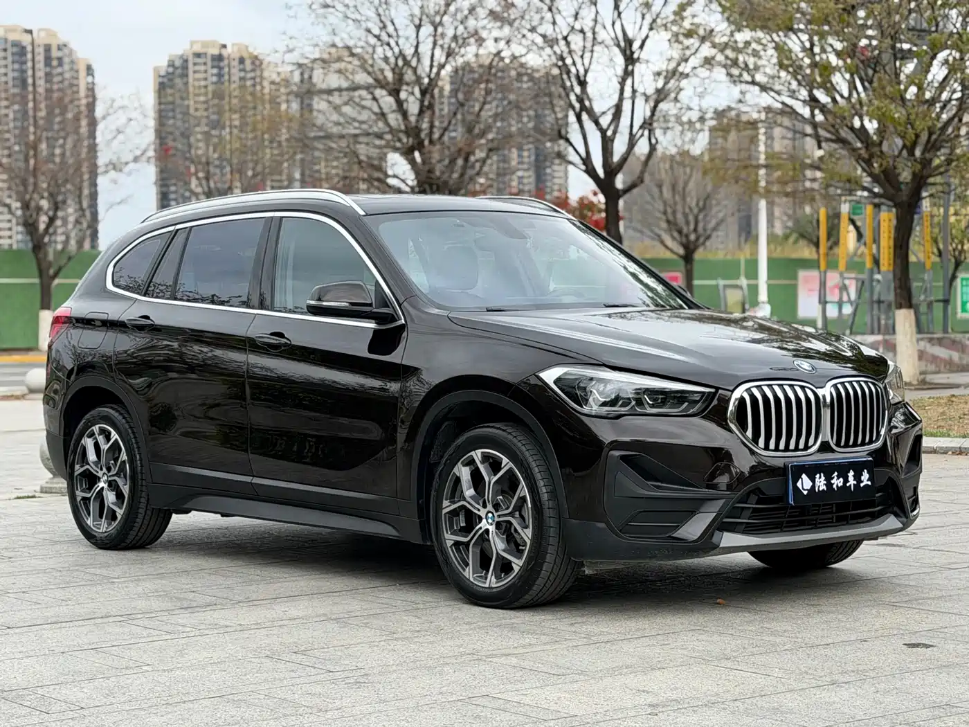 BMW X1 2022 sDrive25Li Leading фото 3
